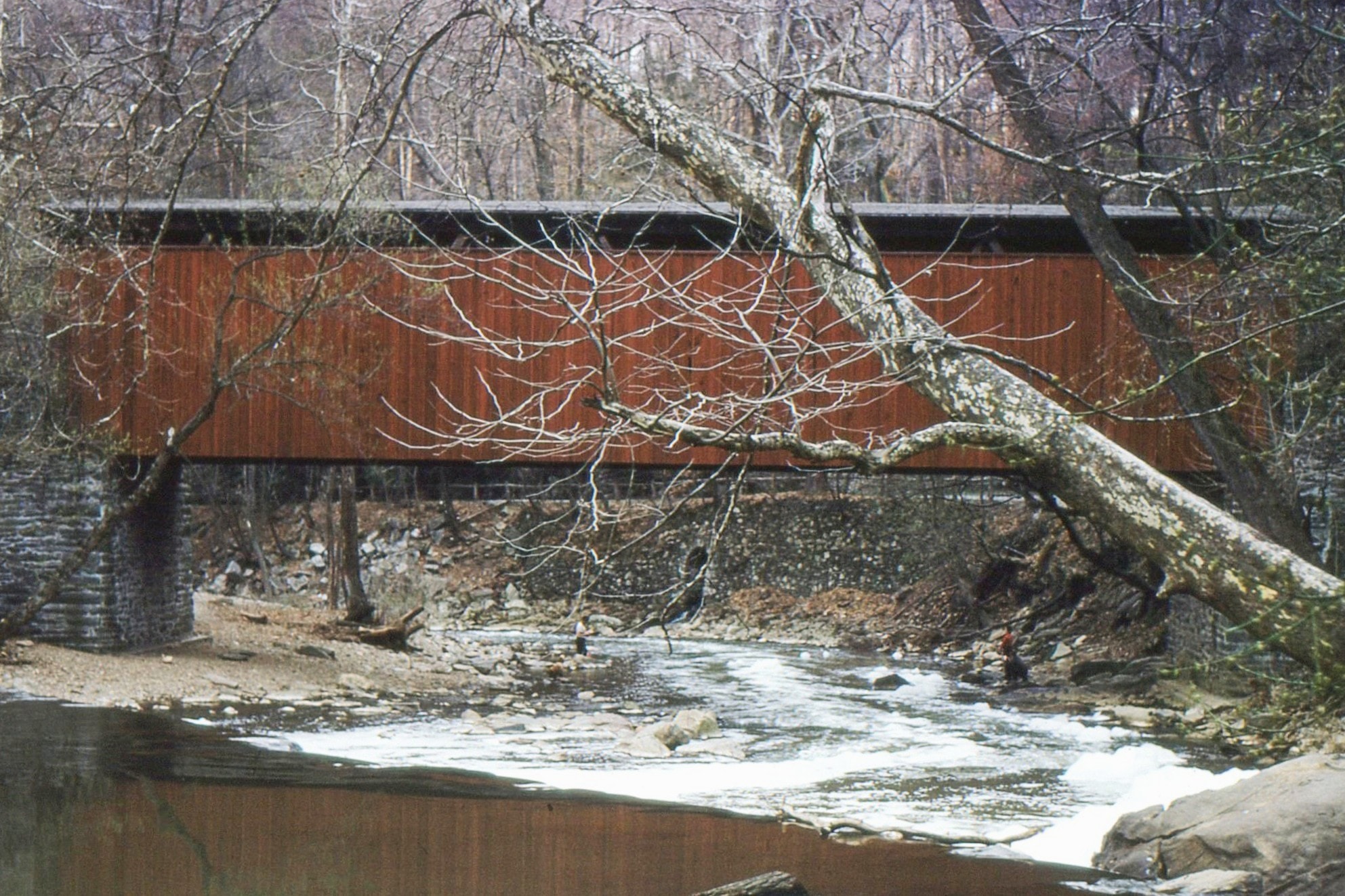 Thomas Mill Covered Bridge, Philadelphia County, PA — Historical Photo 1960