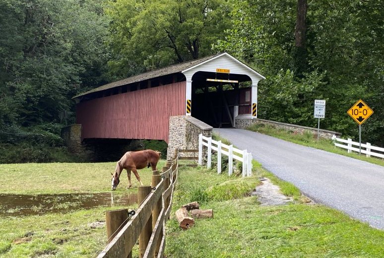 Mercer's Mill